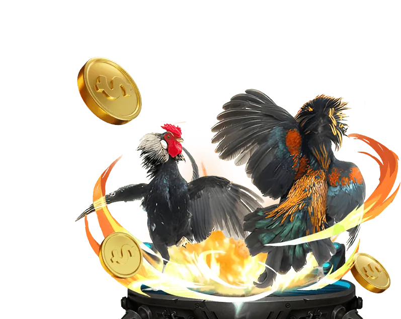 Các cấp độ chương trình đối tác