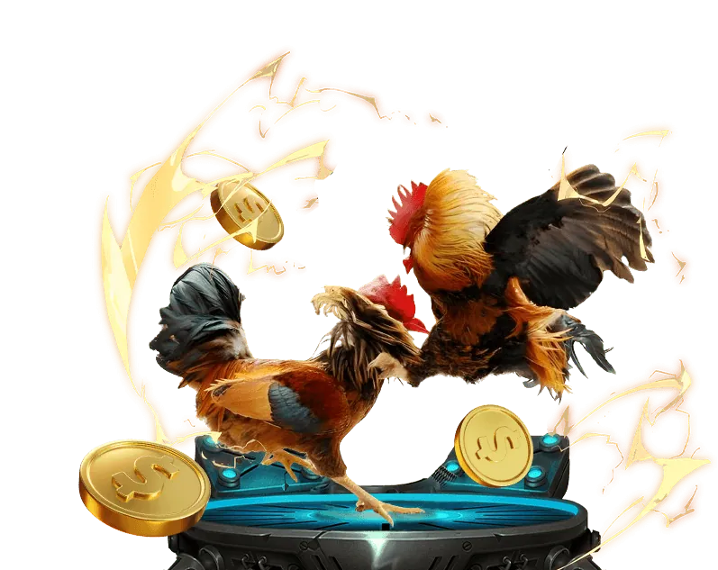 Tổng quan về đá gà trực tuyến vz 99